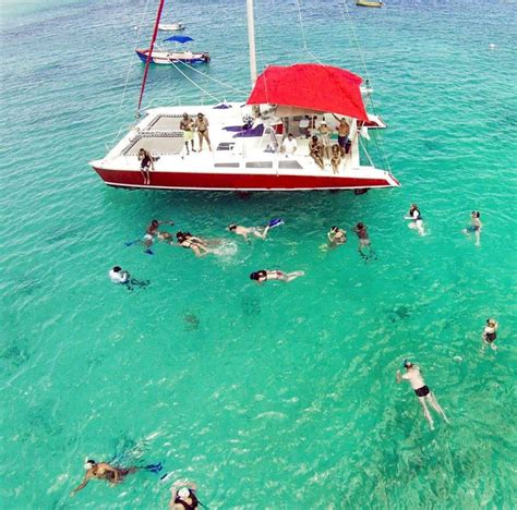 Barbados Cruise Excursions | turtles snorkeling catamaran barbados