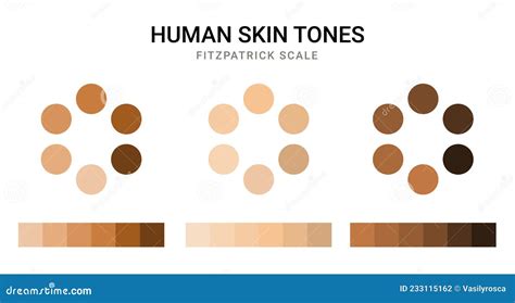 Skin Tone Color Scale Chart. Brown Palette Vector Human Skin ...