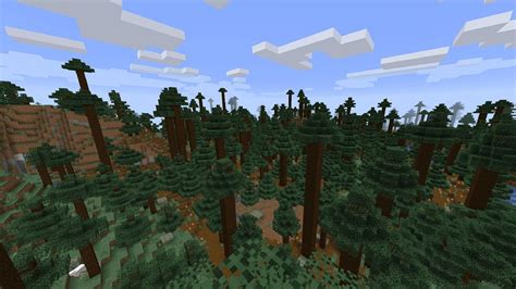 How rare is taiga biome in Minecraft 1.19?