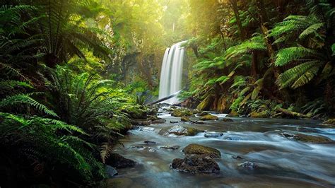 Desktop Hintergrundbilder Australien Hopetoun Falls Aire River Great