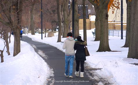 8 Best Boston Activities - Outdoor Winter Fun - Boston Discovery Guide