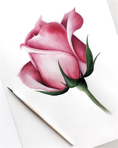 Ещё одна роза🎨🌹 in 2020 | Pencil drawings of flowers, Realistic flower drawing, Color pencil art