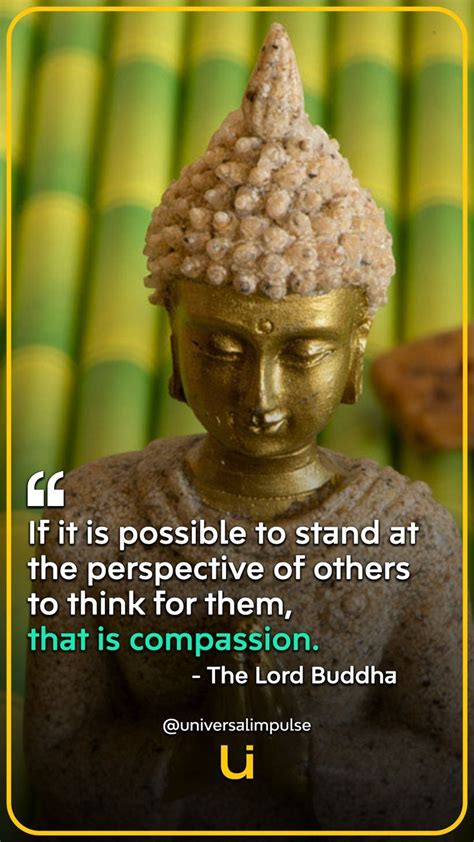 Incredible Compilation of 999+ Buddha Quotes Images in Full 4K Resolution