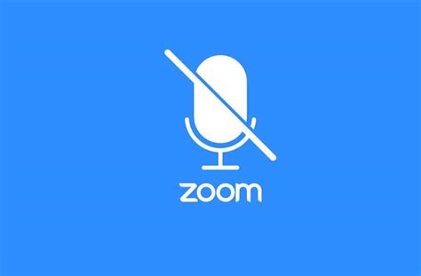 How to Mute Zoom Meeting - Everything You Need to Know