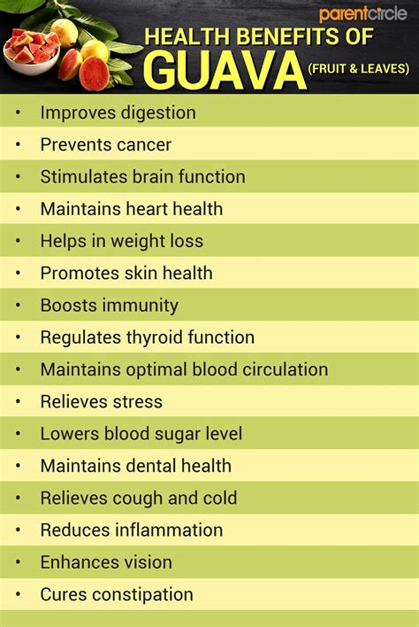 Health Benefits of Guava Fruit and Leaves, Guava Nutritional Value Per ...