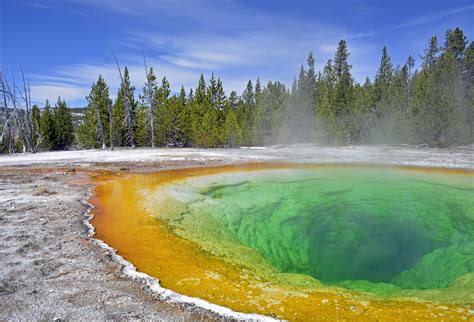 Yellowstone Geysers Wall Art by Bruce Gourley