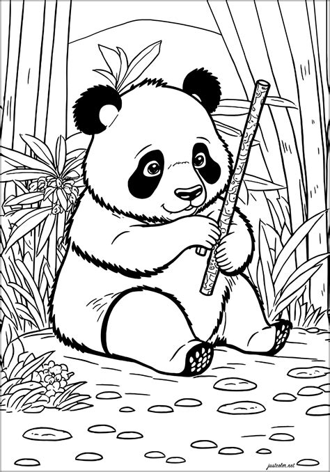 Beautiful Panda eating bamboo - Free coloring page | Panda coloring ...