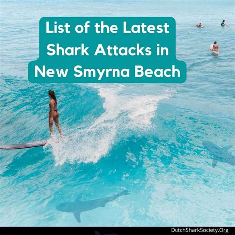 Why New Smyrna Beach Is The Shark Bite Capital Of The World - Dutch Shark Society