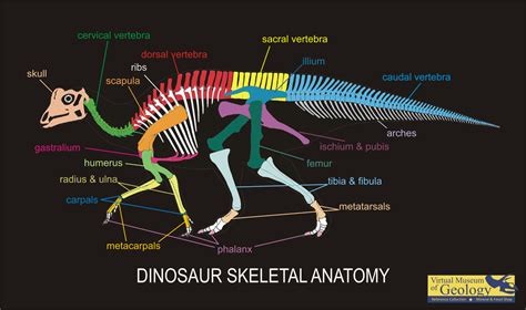 Dinosaurs - Virtual Museum of Geology