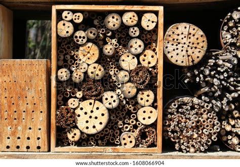 442 Bee Drill Images, Stock Photos & Vectors | Shutterstock