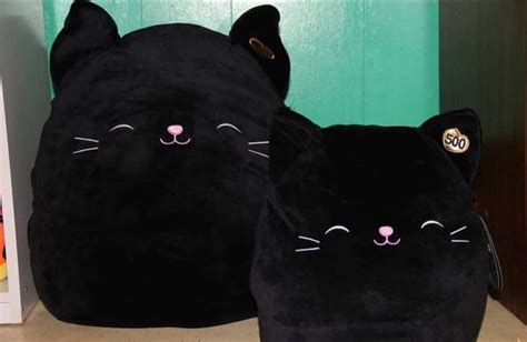 Jack black cat squishmallow for sale : r/squishmallow