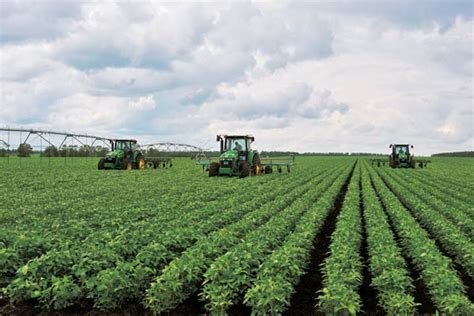 Heilongjiang's farms turn to 'green'[1]- Chinadaily.com.cn