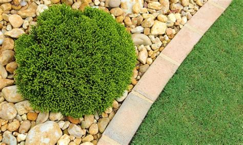 Low Maintenance Landscaping Garden Ideas - Tips, Tricks and Advice