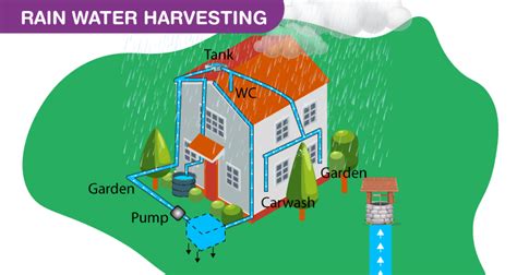 Common type of water Rain water harvesting Tanks and how they are used | by Kamakshi Sharma | Medium