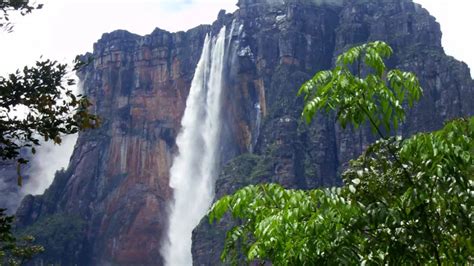 The Amazing Wildlife Of Canaima National Park In Venezuela - Metro Wilds