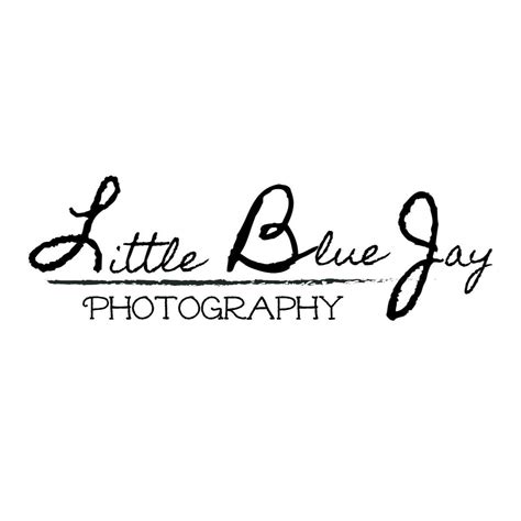 Little Blue Jay Photography
