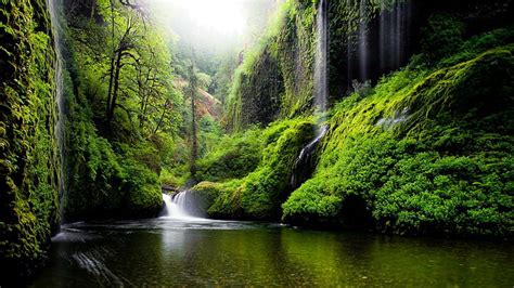 HD wallpaper: Oregon, river, water, waterfalls, nature, forest, woods, green, scenic | Wallpaper ...