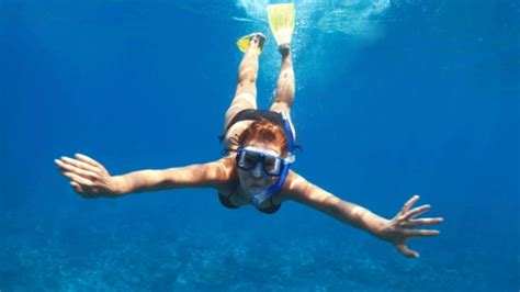 How to Free Dive | Mental Floss