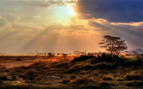 Serengeti National Park, Tanzania: the Complete Guide