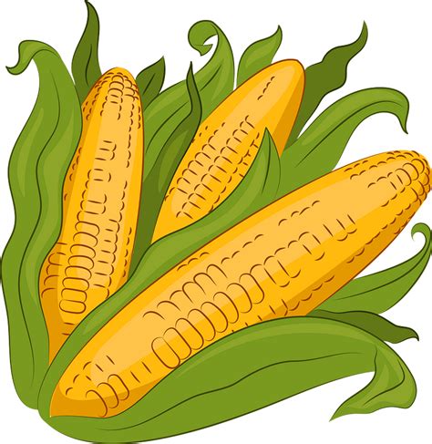 Harvest Corn Clip Art