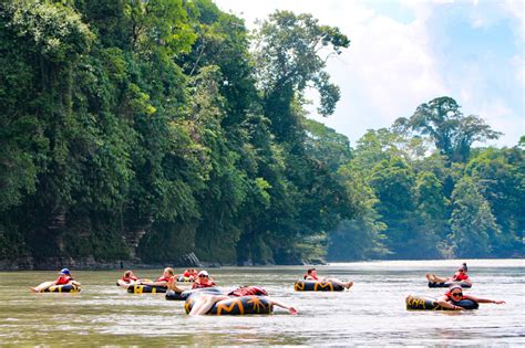 Ecuador’s Amazon Rainforest - Apullacta Expeditions Ecuador