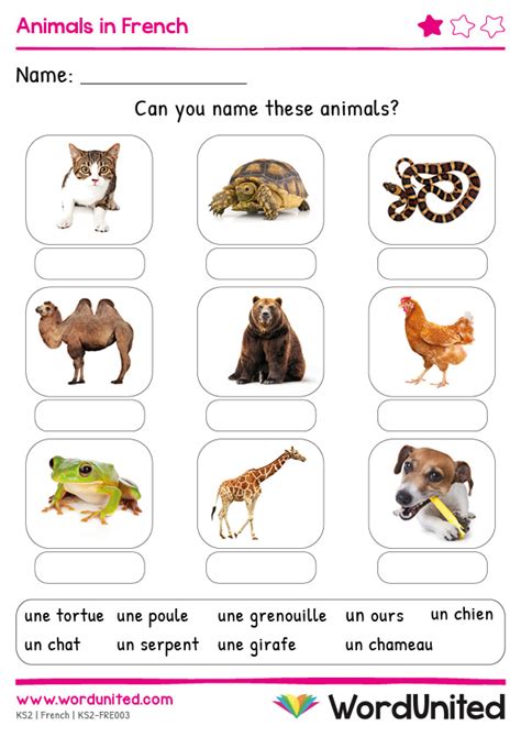 Animals in French - WordUnited