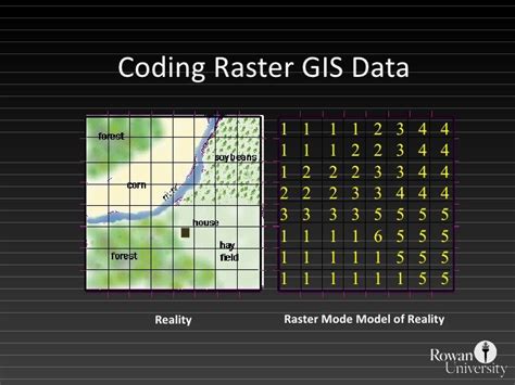 GIS Data Types