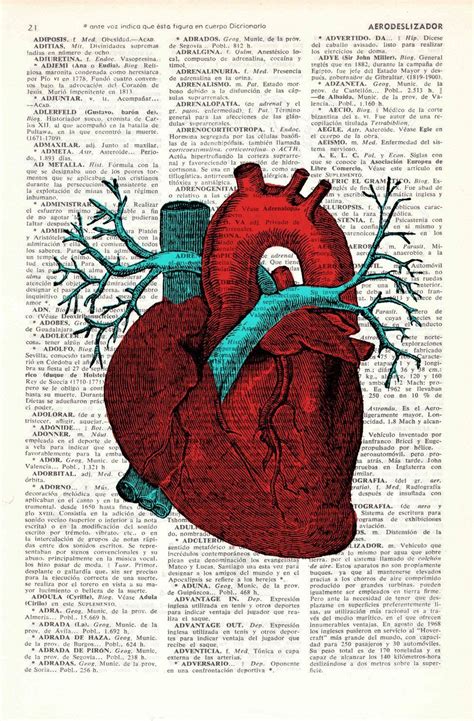 Heart Anatomy Background