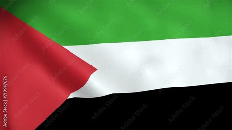 4K National Animated Sign of Palestinian territories, Animated ...