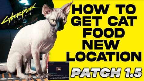 How to get CAT food in Cyberpunk 2077 | NEW Location! - YouTube