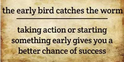 30 Similar Sayings to the Early Bird Catches the Worm