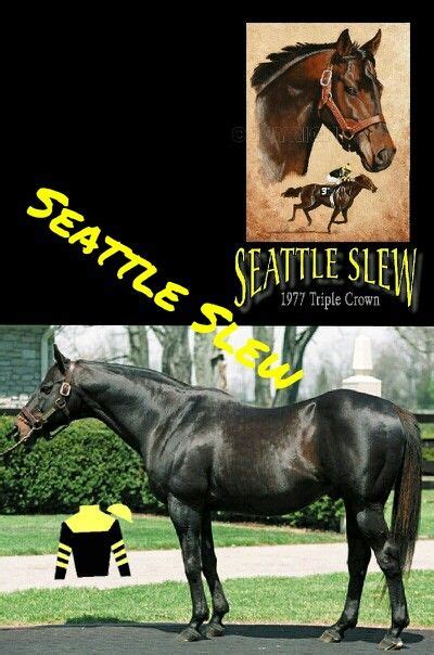 Seattle Slew, tenth Triple Crown winner | Triple crown, Seattle slew, Triple crown winners