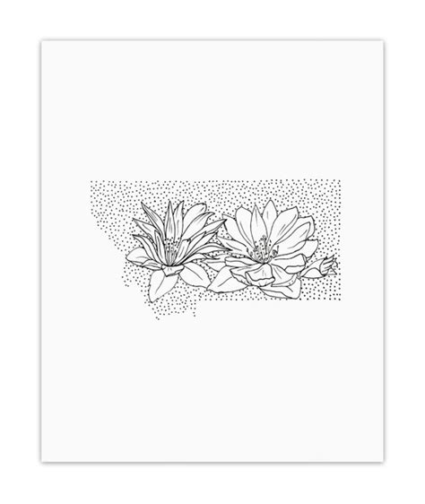 Montana Bitterroot State Flower Drawing Giclee