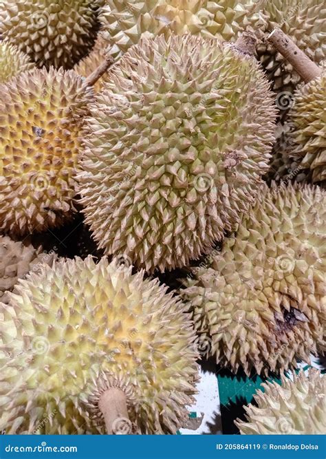 The smell of Durian stock image. Image of lilac, smell - 205864119