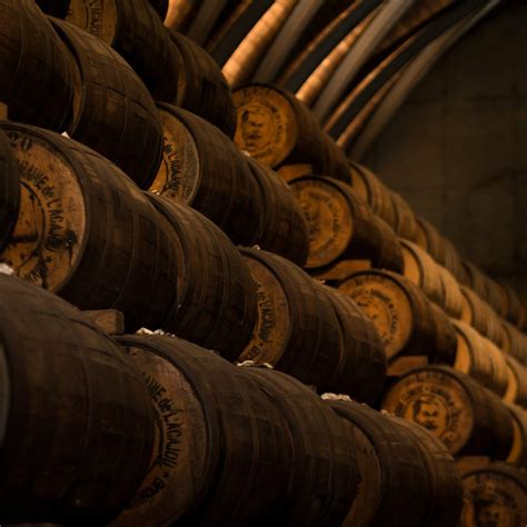 10 Different Types of Rum You Should Know