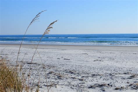 What Is There To Do At Hammocks Beach And Bear Island? - Carolina Traveler