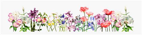 Clipart Banner Flowers - Best Banner Design 2018