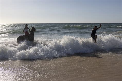 Roman Shipwreck Loaded With Wine Amphorae Found | RealClearScience