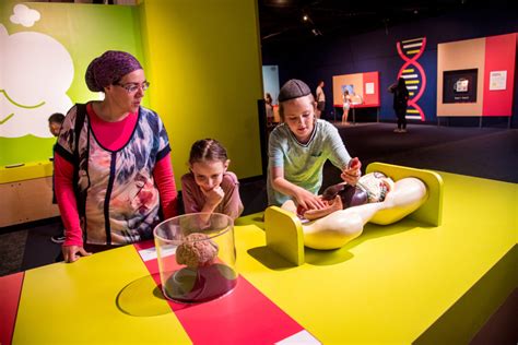 You – The Inside Story | Maryland Science Center