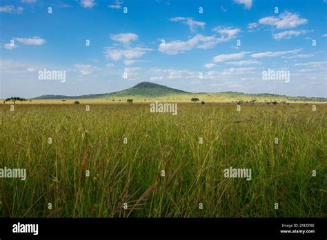 African Safari Landscape Stock Photo - Alamy