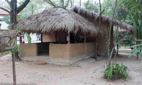 Apey Gama: Traditional Village Life in Sri Lanka | by Nilmini De Silva ...