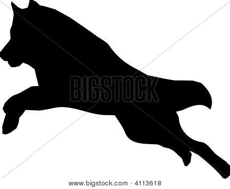 Running Wolf Vector & Photo (Free Trial) | Bigstock