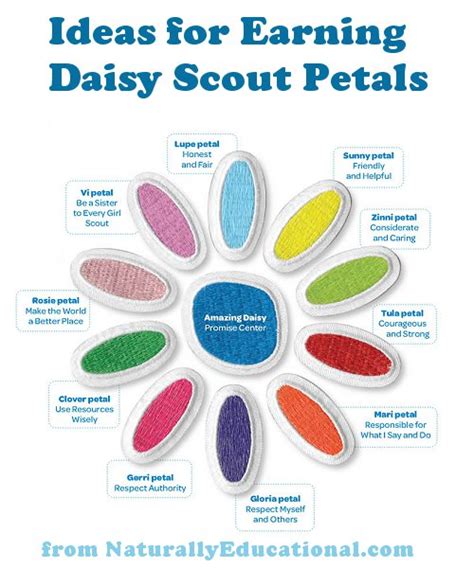 Daisy Girl Scout Crafts and Activities for Earning Petals – Naturally Educational