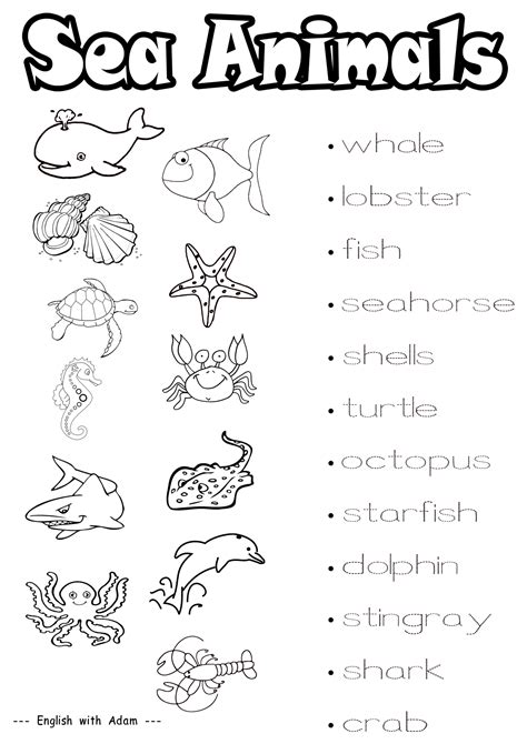 Water Animals Activities For Preschoolers : Montessori Land Animals Water Air Animal Science ...