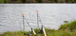 7 Best Barbel Rods - (2024 UK Guide On Barbel Fishing Rods)