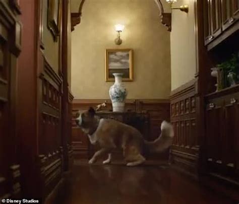 Harrison Ford and CGI-created dog Buck in The Call Of The Wild trailer ...