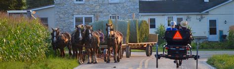 Amish Sightseeing, Bus Trips, Group Tours in Lancaster - The Amish Farm and House