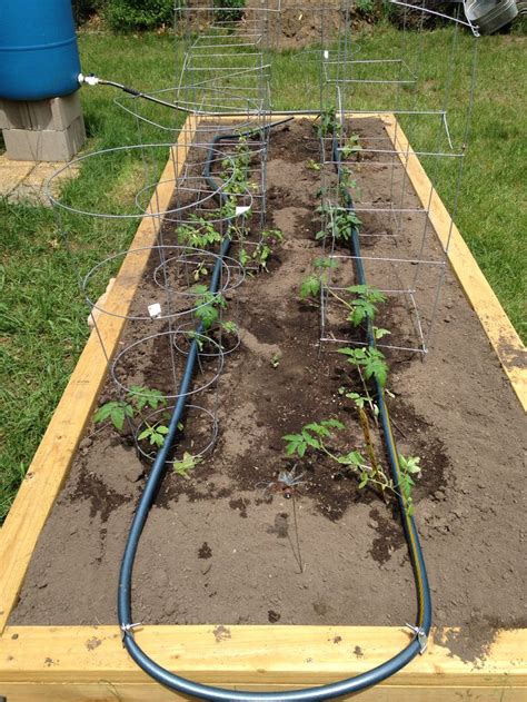 Custom drip irrigation for my lovely raised bed. | Australian garden ...