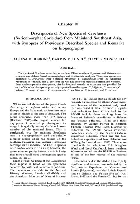 (PDF) New Crocidura Species from Southeast Asia: Morphological Review