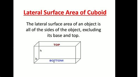 Lateral surface area of cuboid class 9 - YouTube